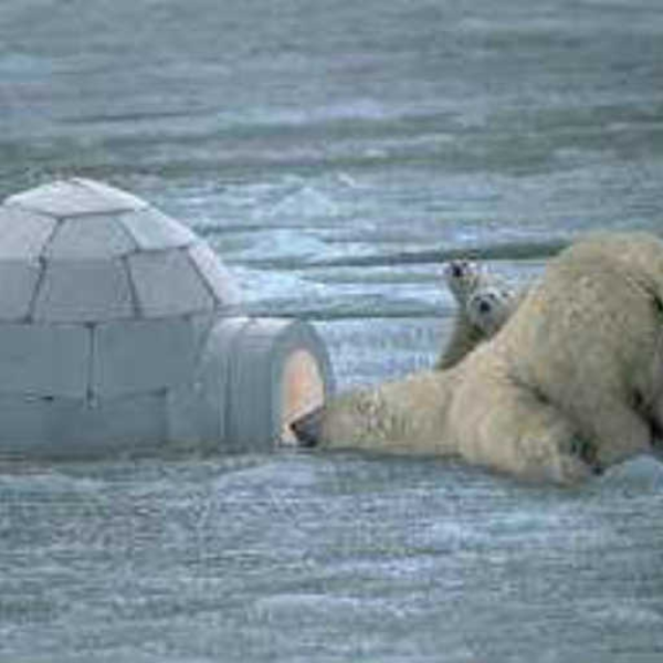 Polar