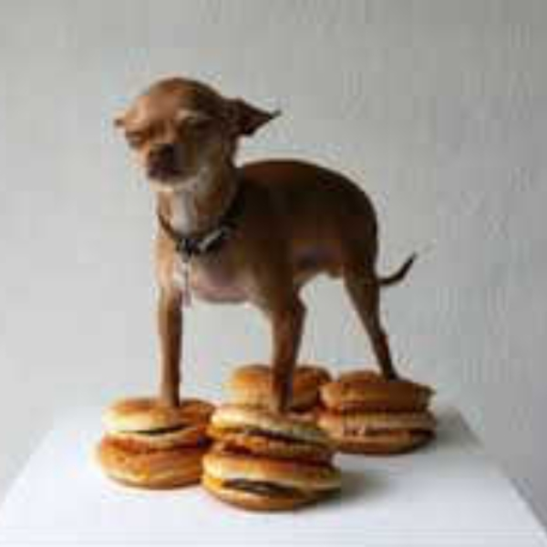 PROJECT PLAYHOUSE - CHEESE BURGERS!!