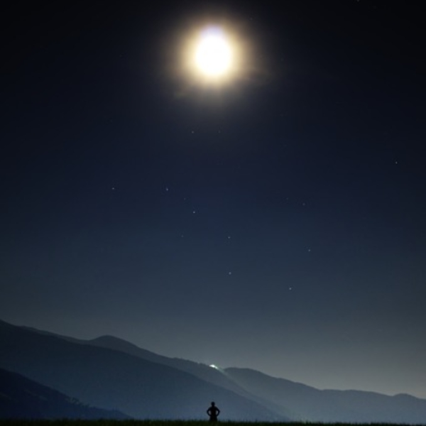 moonlight