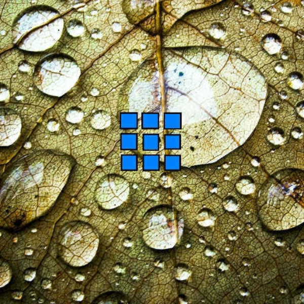 Purity [JuükesEdit]
