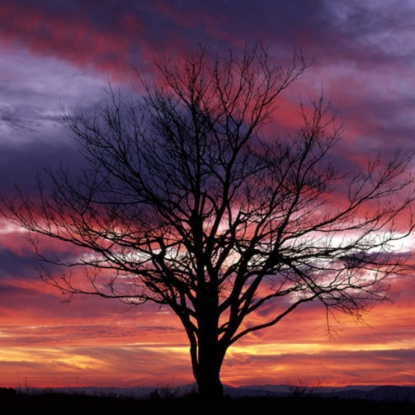 Purple Sundown(DnB mix)