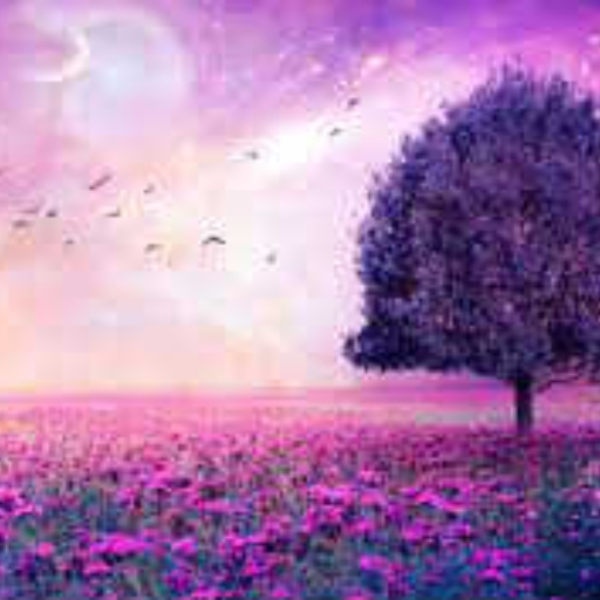 Purple Tree