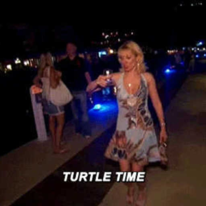 Turtle Time