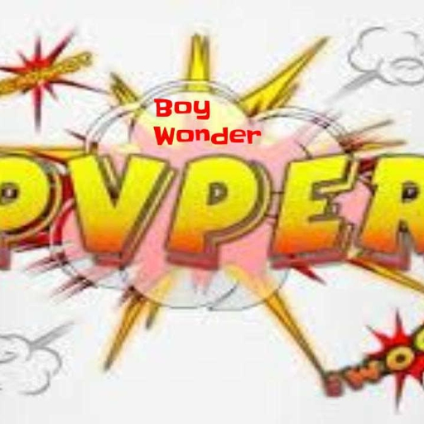 PVPER