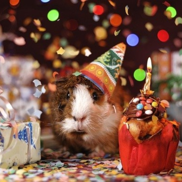 Happy b-day