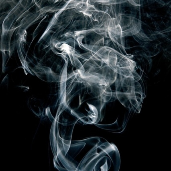 Kush she smokes (Prod. $avage Lyric)