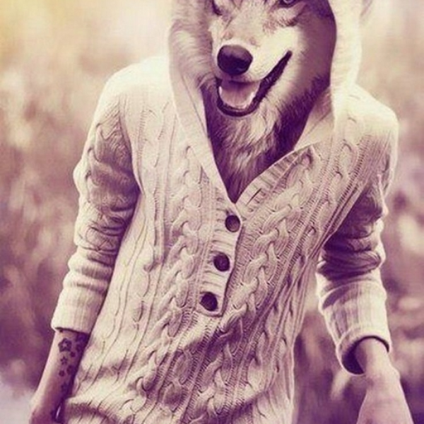Wolf Beat
