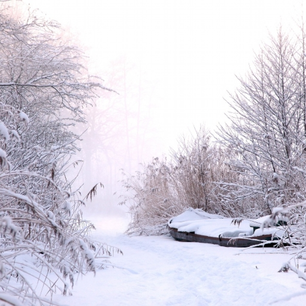 Winter Walk