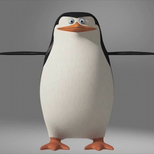 skadoosh