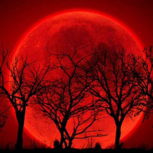 Blood Moon