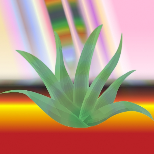 Aloe River
