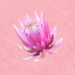 PROTEAS