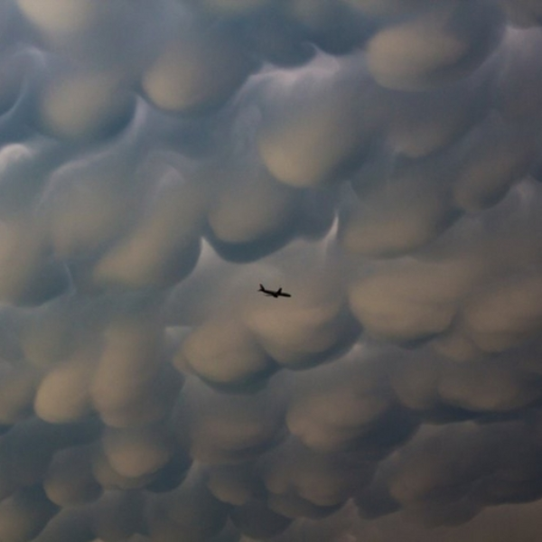 Mammatus