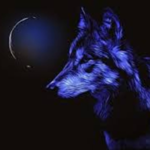 Wolfs