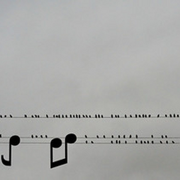 #sound