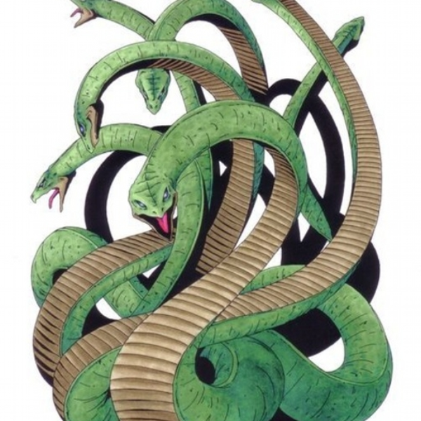 The Mizuchi
