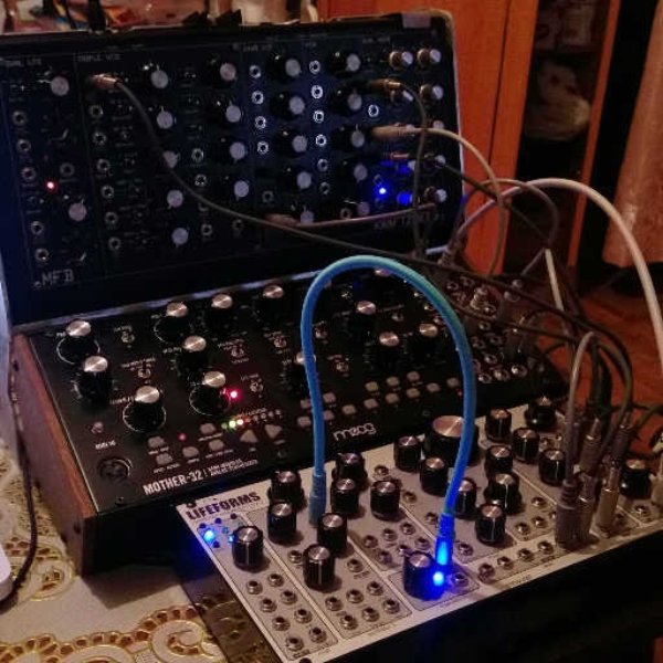 QuasiAnalog Reality
