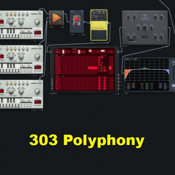 303 Polyphony - Beta Studio