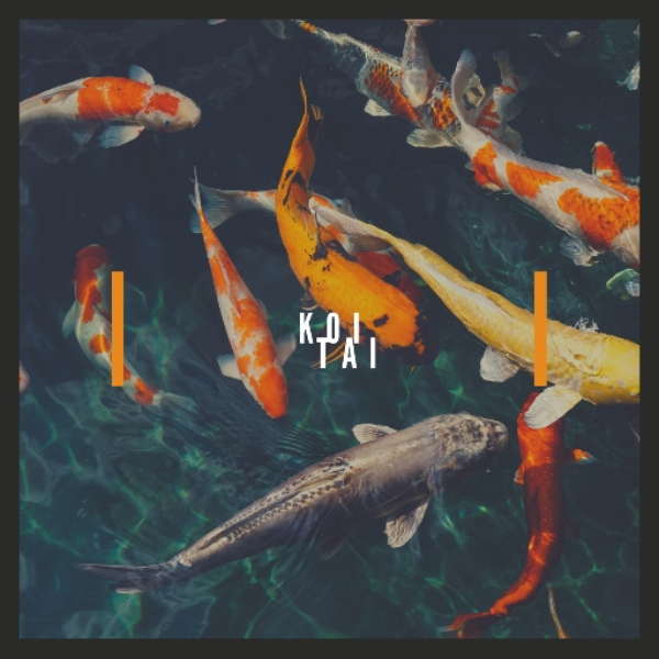 koi.
