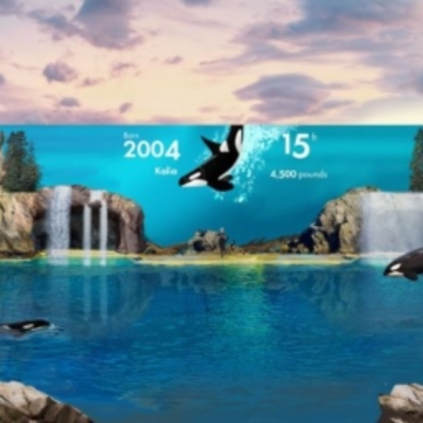Seaworld!