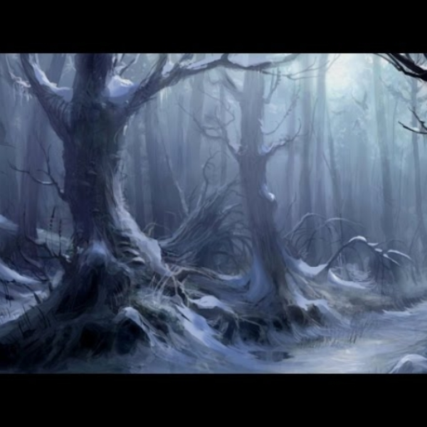 Winter Snow