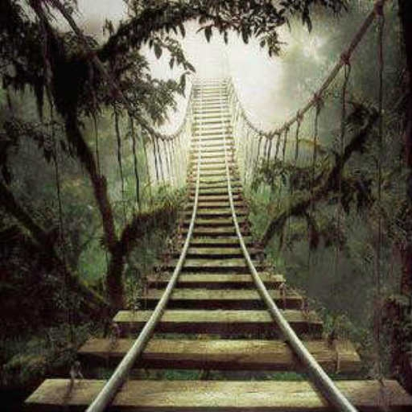 Rails