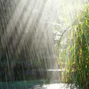 Rain Song
