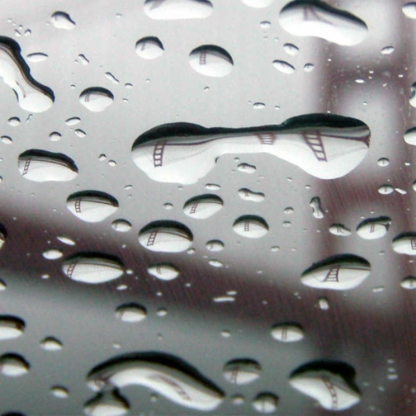 Rainbass
