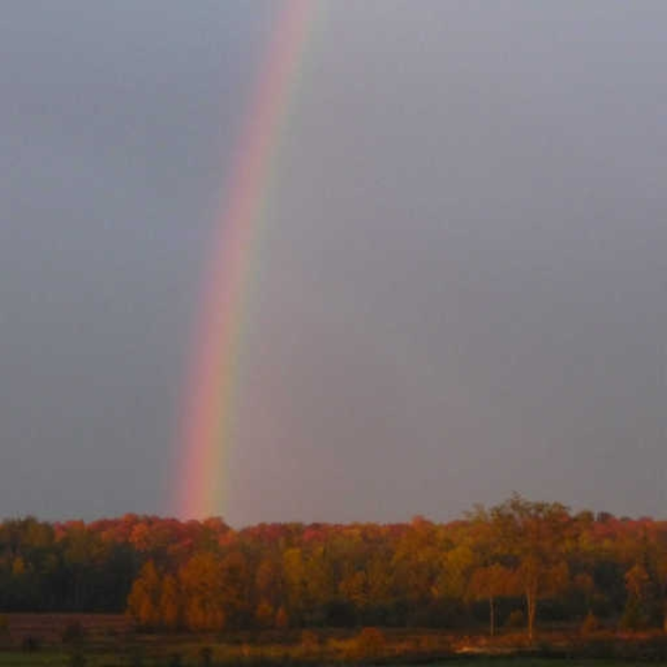 rainbow
