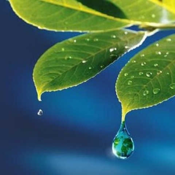 Raindrop