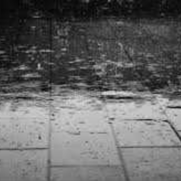raindrops