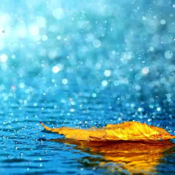 RainFall