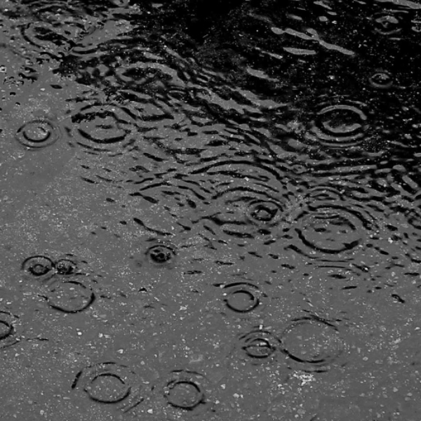 Rainny Day
