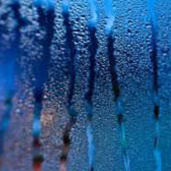 Rainy day