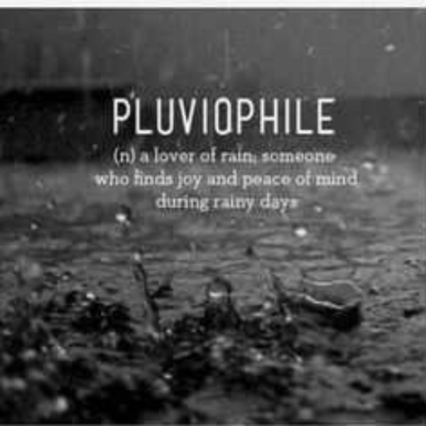Rainy Day