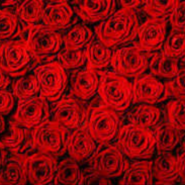 Ran$e Type Beat- Roses