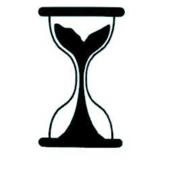RapideCreation (Speed Contest)