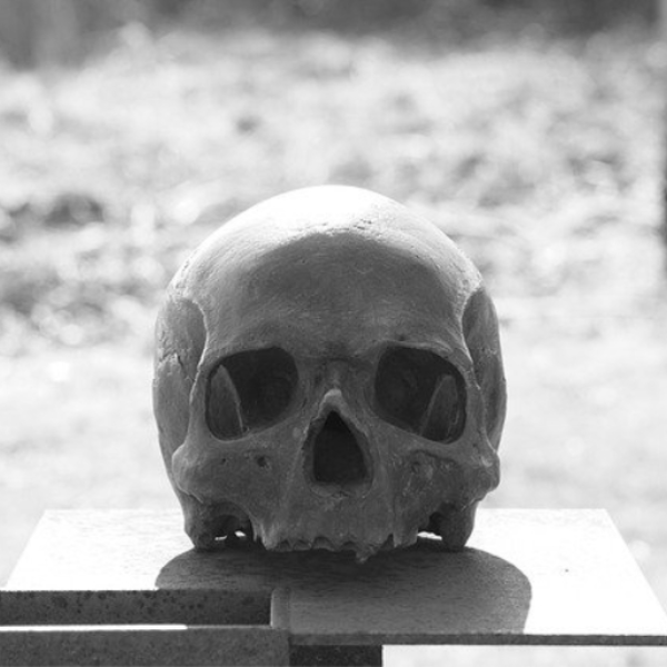 The dead are growling