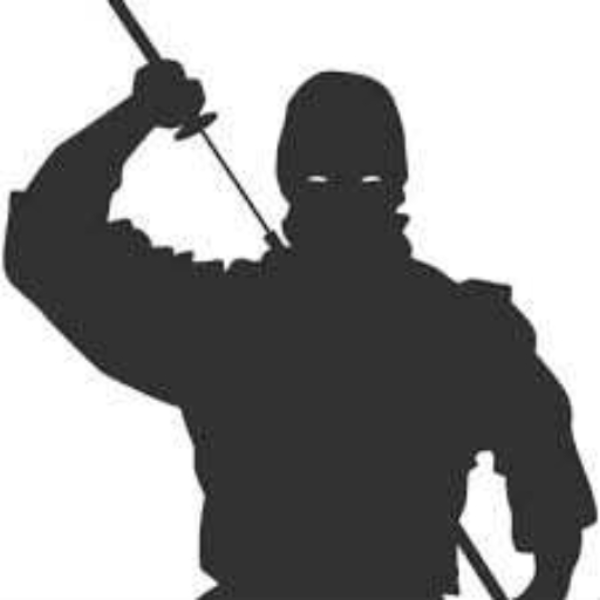 Real Ninja