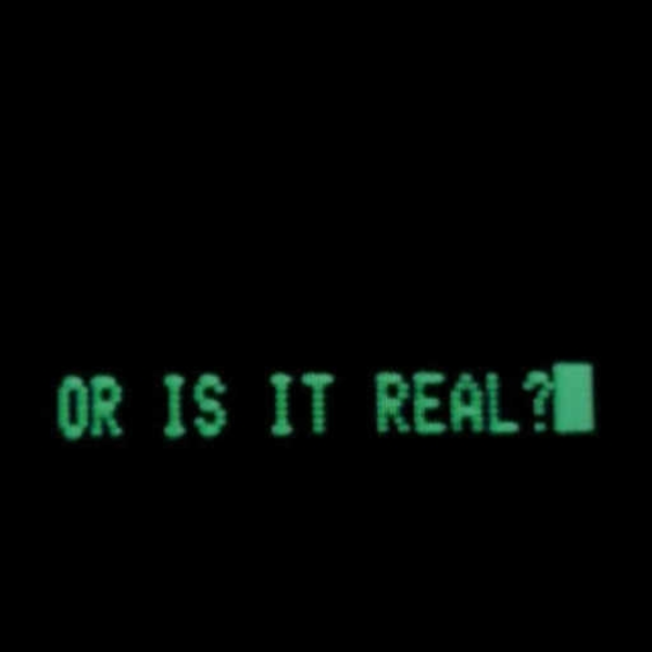 Real or Not?
