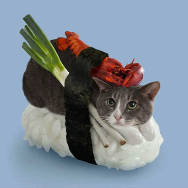 Real Tasty!