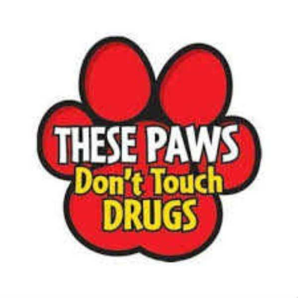RED RIBBON WEEK(NO DRUGS)