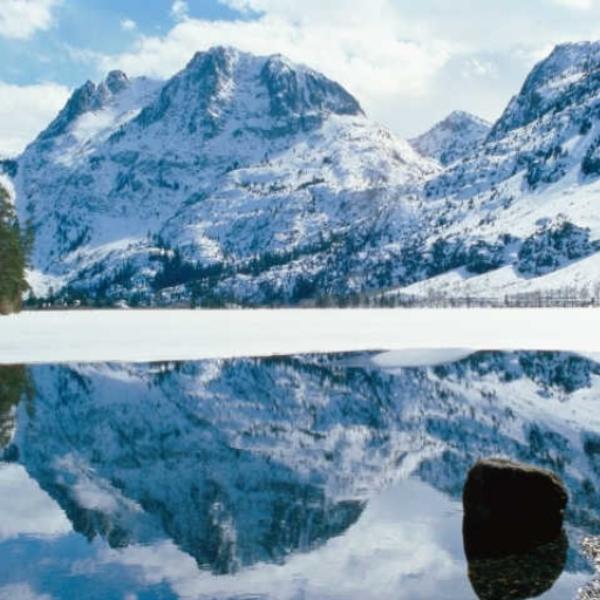 Reflect