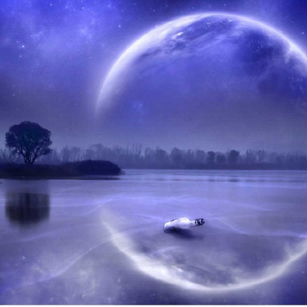 Reflection