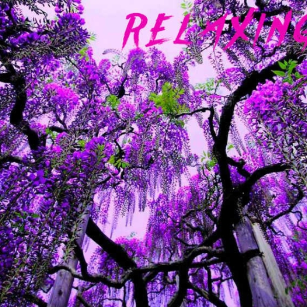 RELAXING$IDE