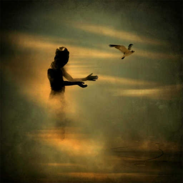 Release
