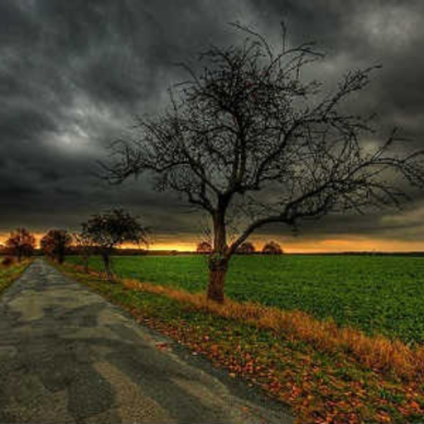 Requiem For November (Acoustic)