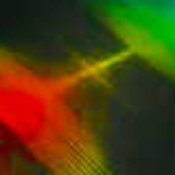 Resonant Movement