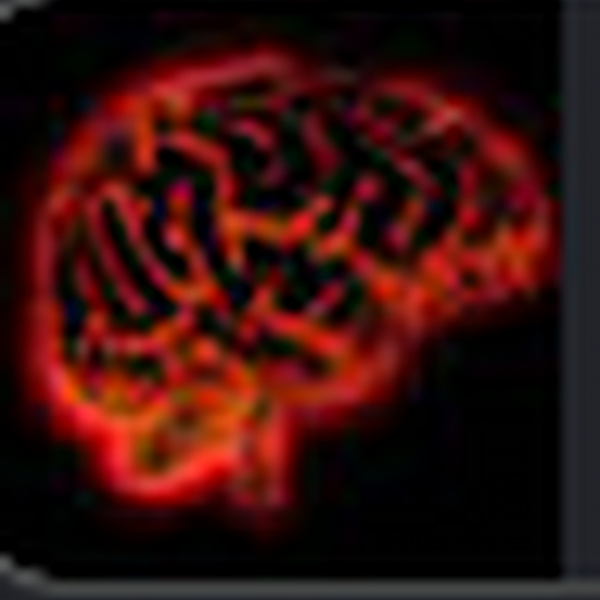 BUSTING BRAINS