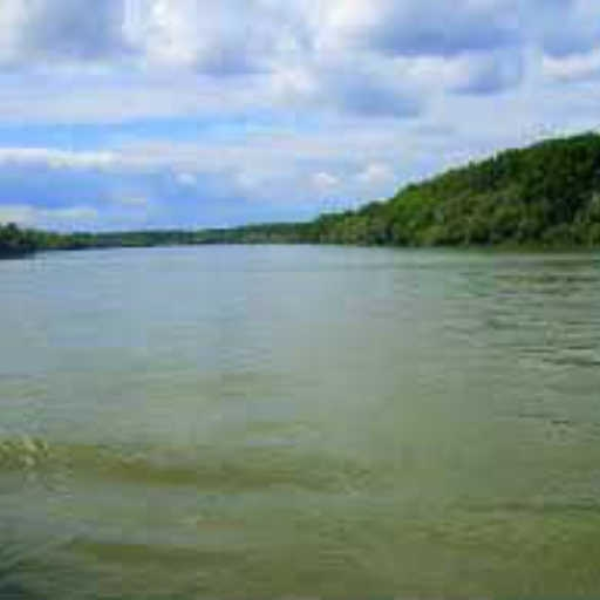 Rhine